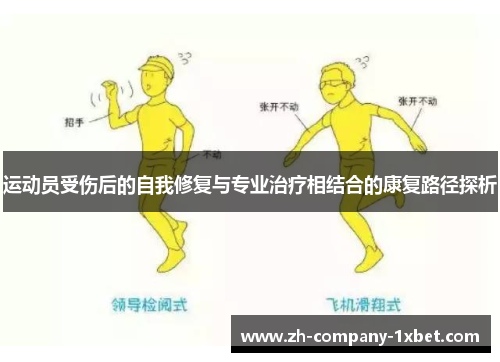 运动员受伤后的自我修复与专业治疗相结合的康复路径探析