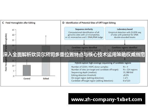 深入全面解析坎贝尔所司多重位置特点与核心技术运用策略权威指南 深入全面解析坎贝尔所司多重位置特点与核心技术运用策略权威指南